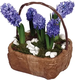 Lavanta Moru Sümbül Sepeti